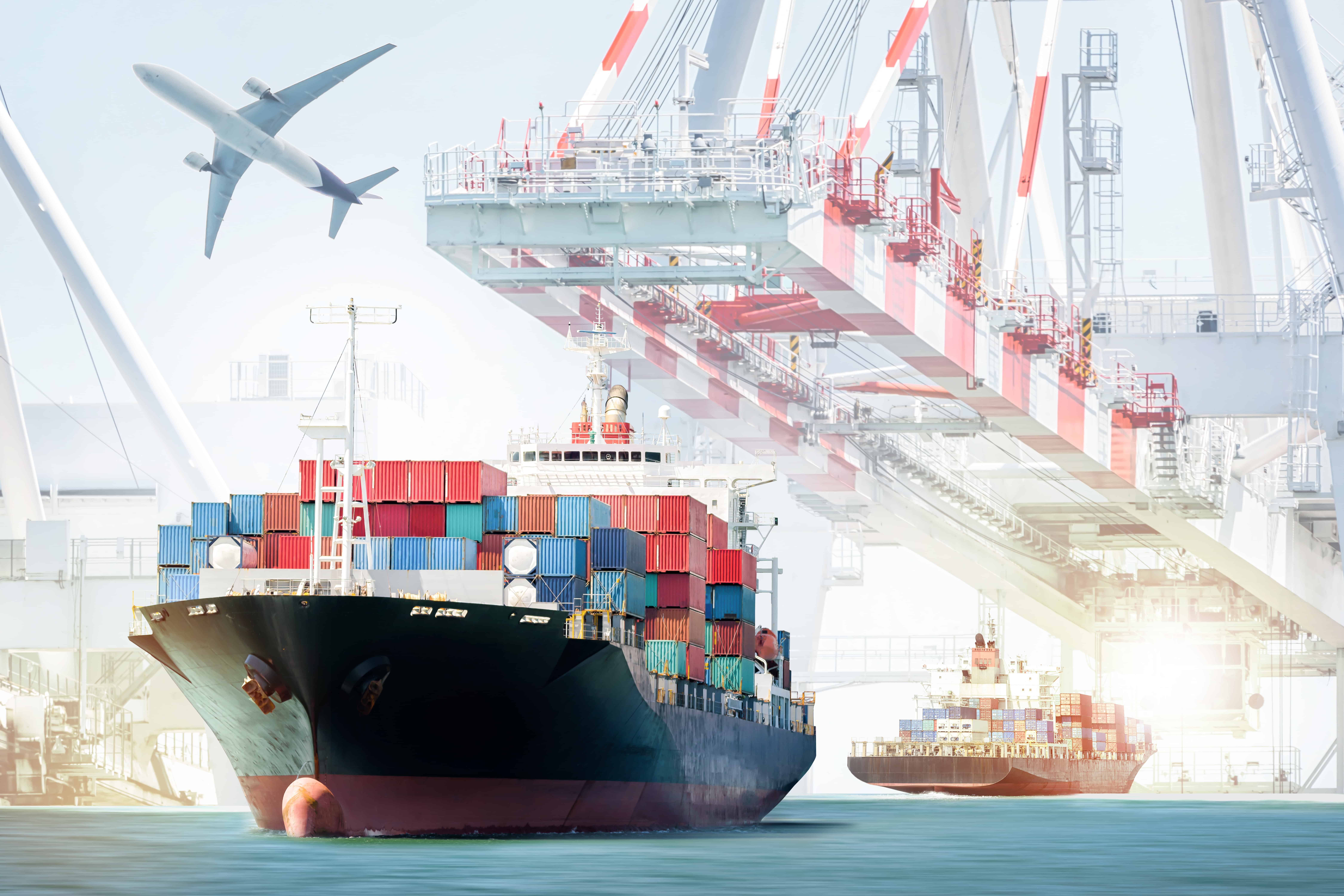 Importeurs en distributeurs